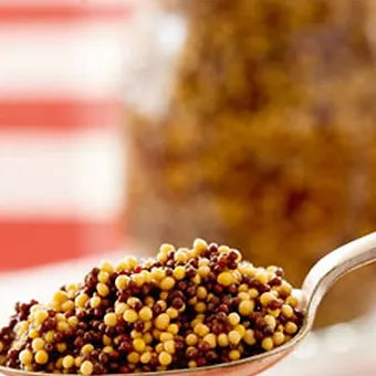 Lacto Fermented Mustard 200g